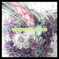 elegance spice