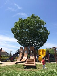 田舎のおかあさん