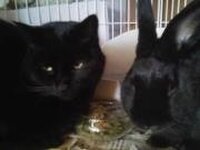 こびん屋 ゆぅびぃ