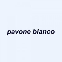pavone bianco