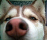 gallery　こはる日和