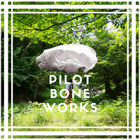 PILOT BONE WORKS