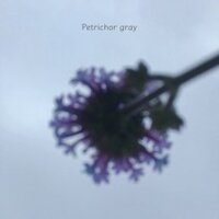 Petrichor gray