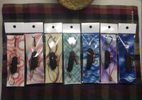 守炭（まもるたん）ハウス