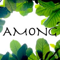 AMONG