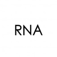 RNA
