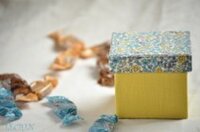 LECRIN (レクラン)