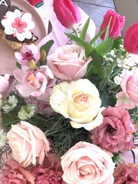 LOVELY!!!LOVE!!!アヤっチェルの部屋！！！！！