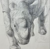 日本画家　津布久直哉