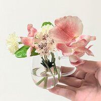 ほんわか｜掌 -tenohira- の花