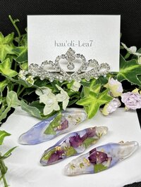 四葉のクローバー