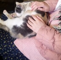 definitely yes yes yes! ! !