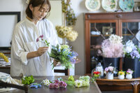 Belamorベラモール