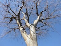 ギャラリー四季彩