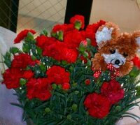 ばぁばの手編み*