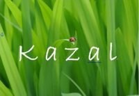 kazal