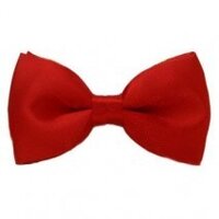 蝶ネクタイ Last Lake