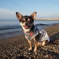 おばあちゃんの針しごと