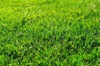 ツバメランドスケープ