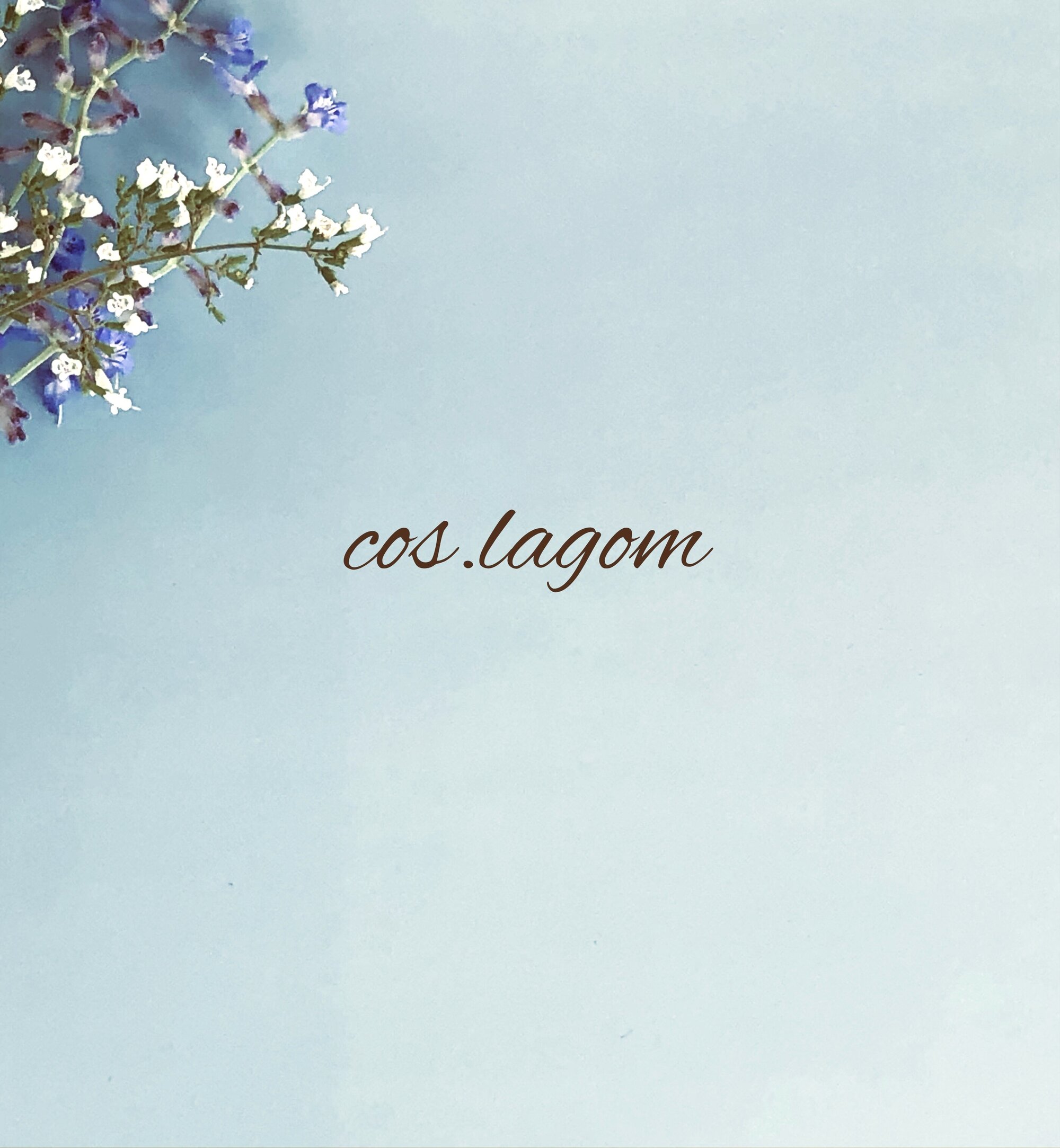 cos.lagom　コス.ラーゴム