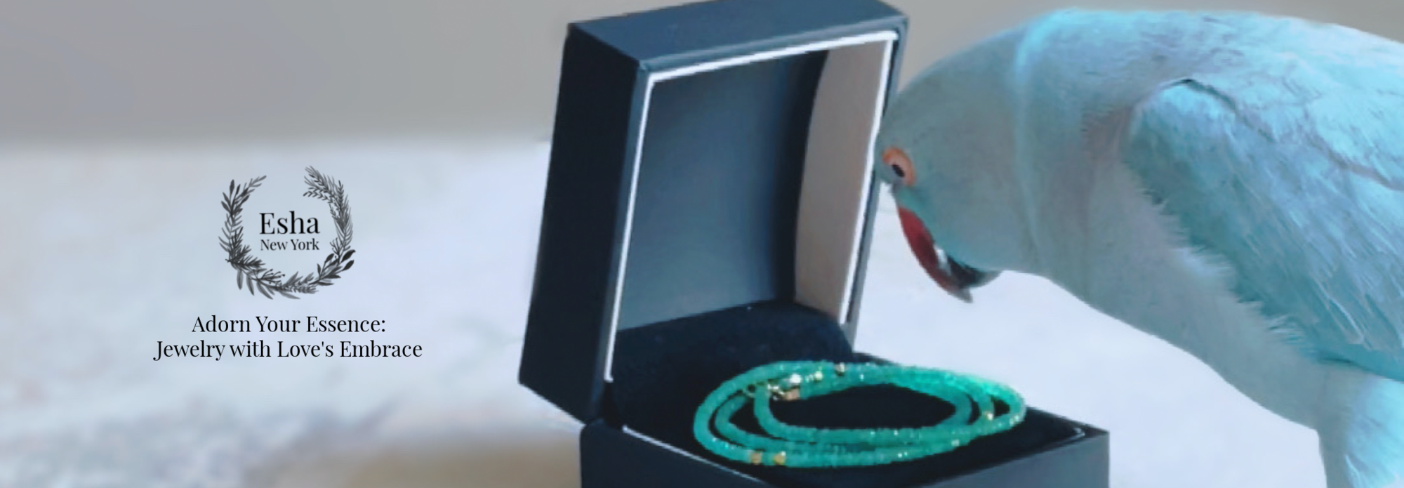 エイシャ ニューヨーク