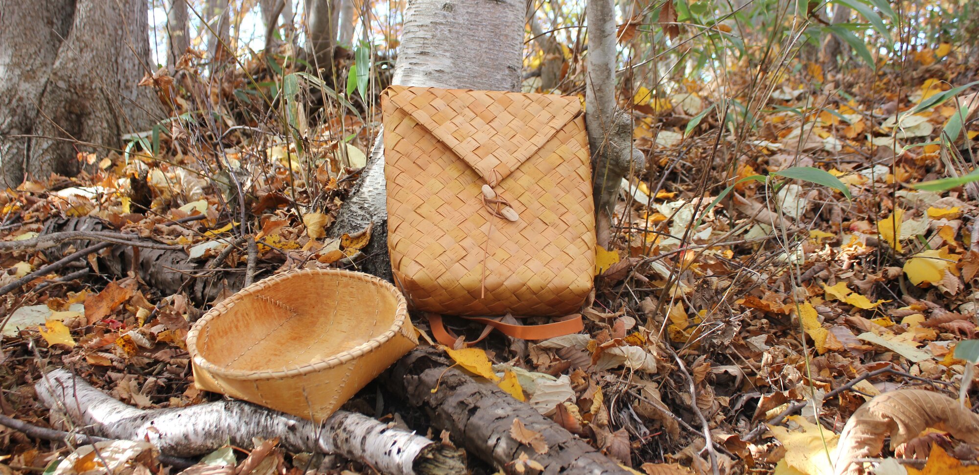 field
