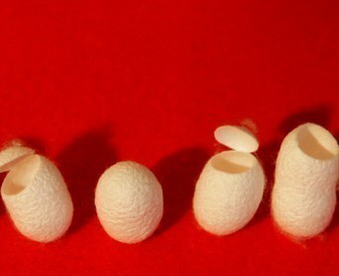 イイムラマユ工芸