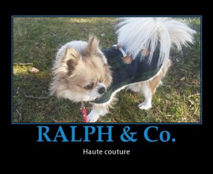 RALPH & Co.