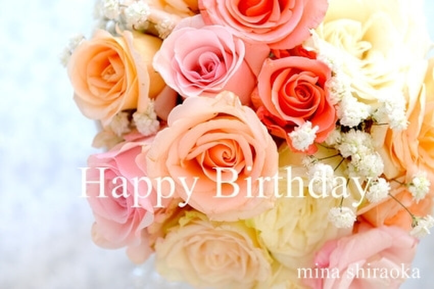 atelier カモミール