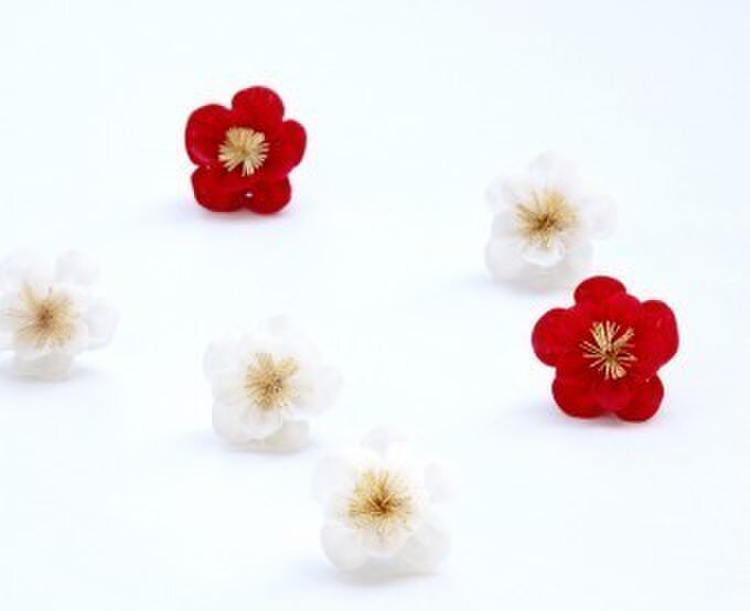 雛hina（ひなひな）