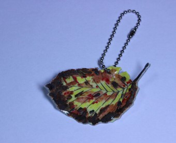 シュリンクアート