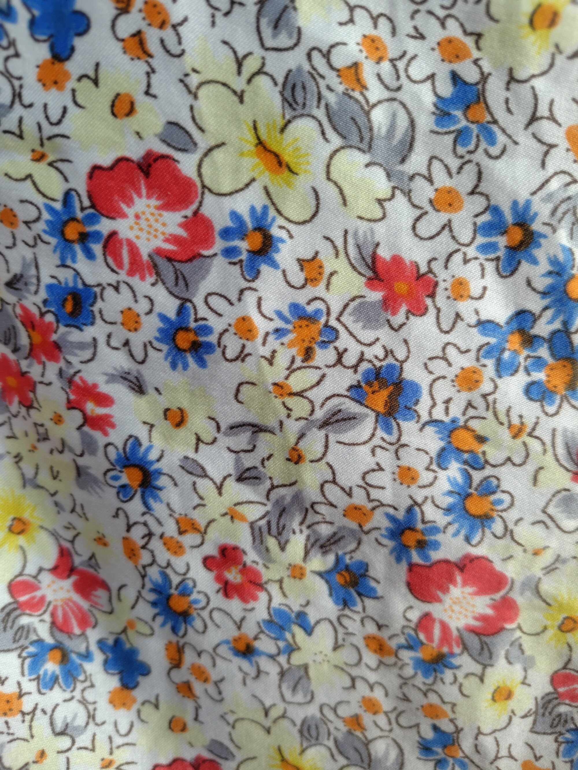 たぬきやまねこ