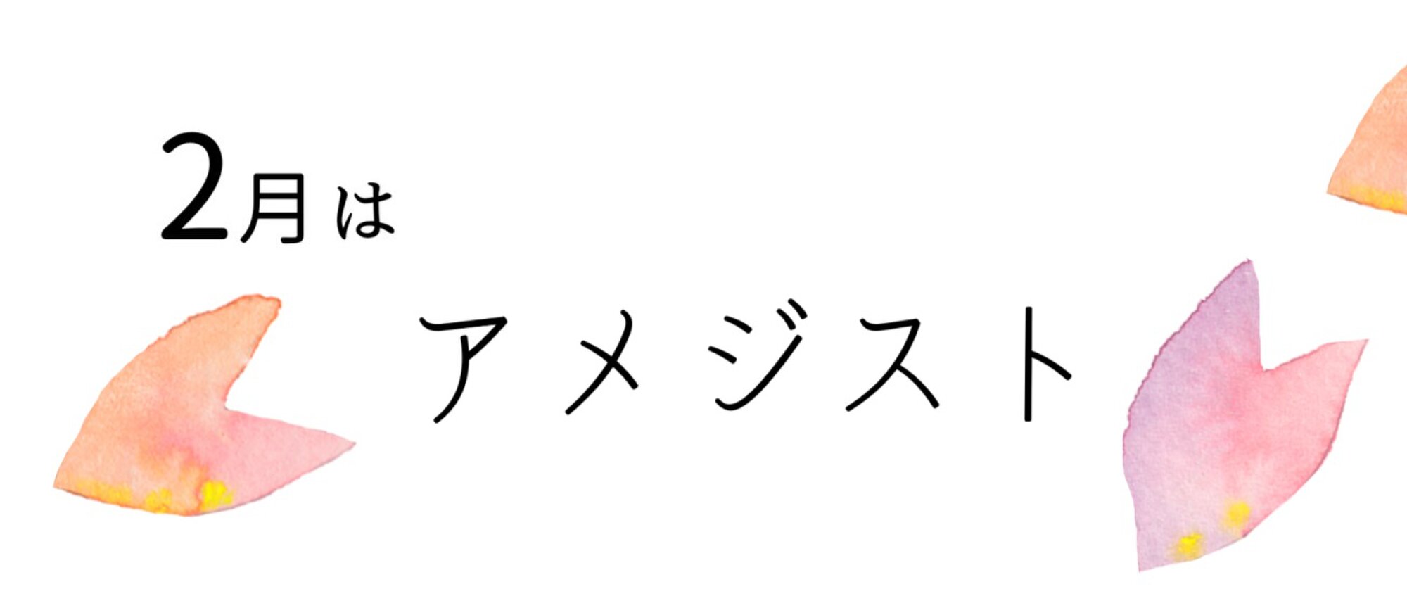さくらしるく【納期最大1週間】