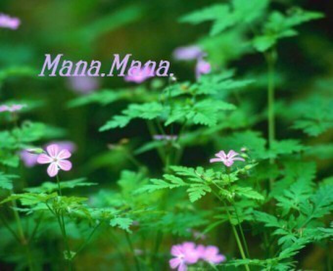 Mana