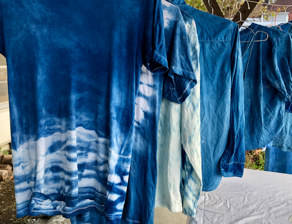 和樹藍々 -Waki Aiai-