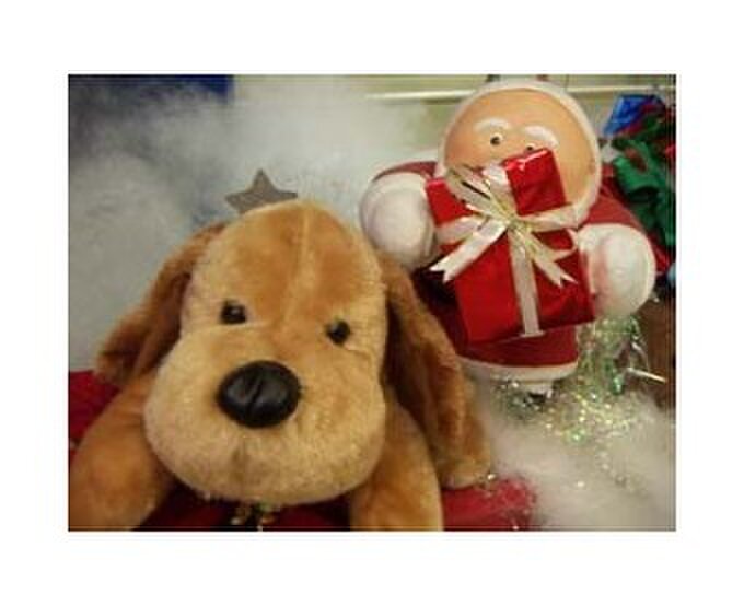 アクセサリー札幌