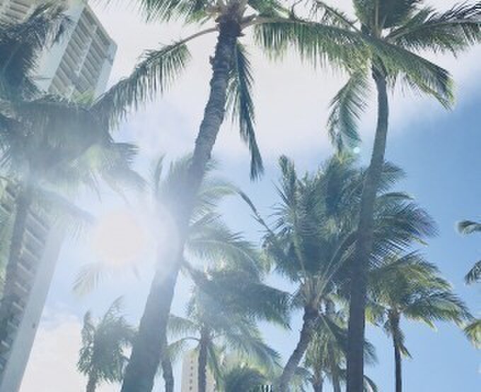 〜 P  BLUE  DOG 〜