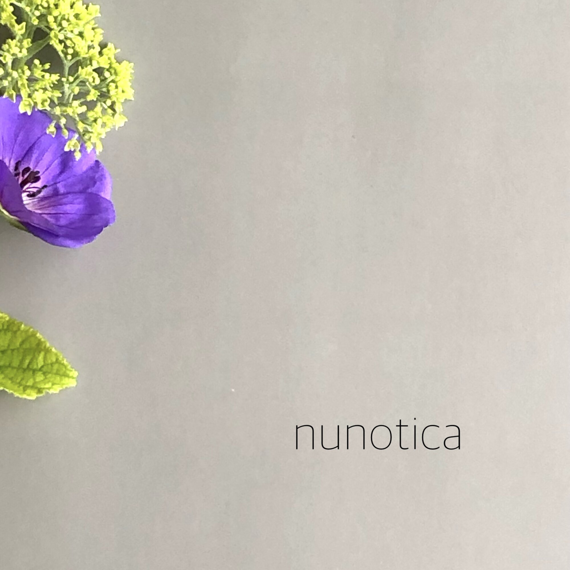 nunotica