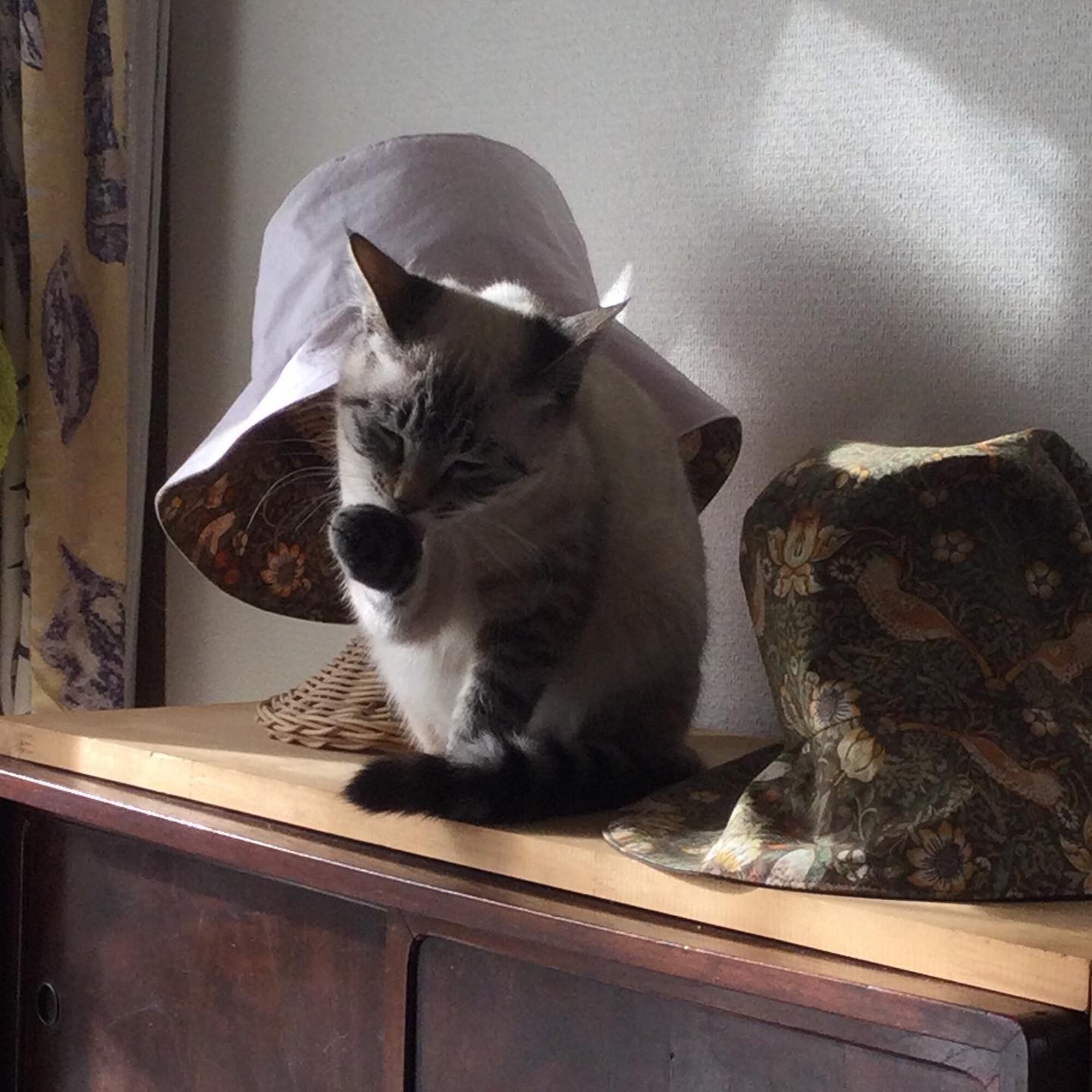 ecOrganic living ＊Plantdyeing