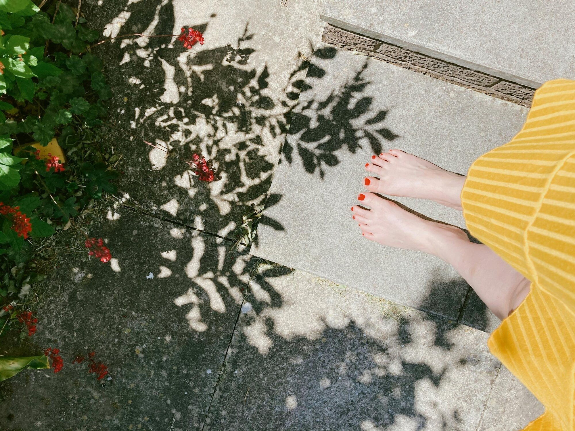 S t r a w b e r r y  H i l l