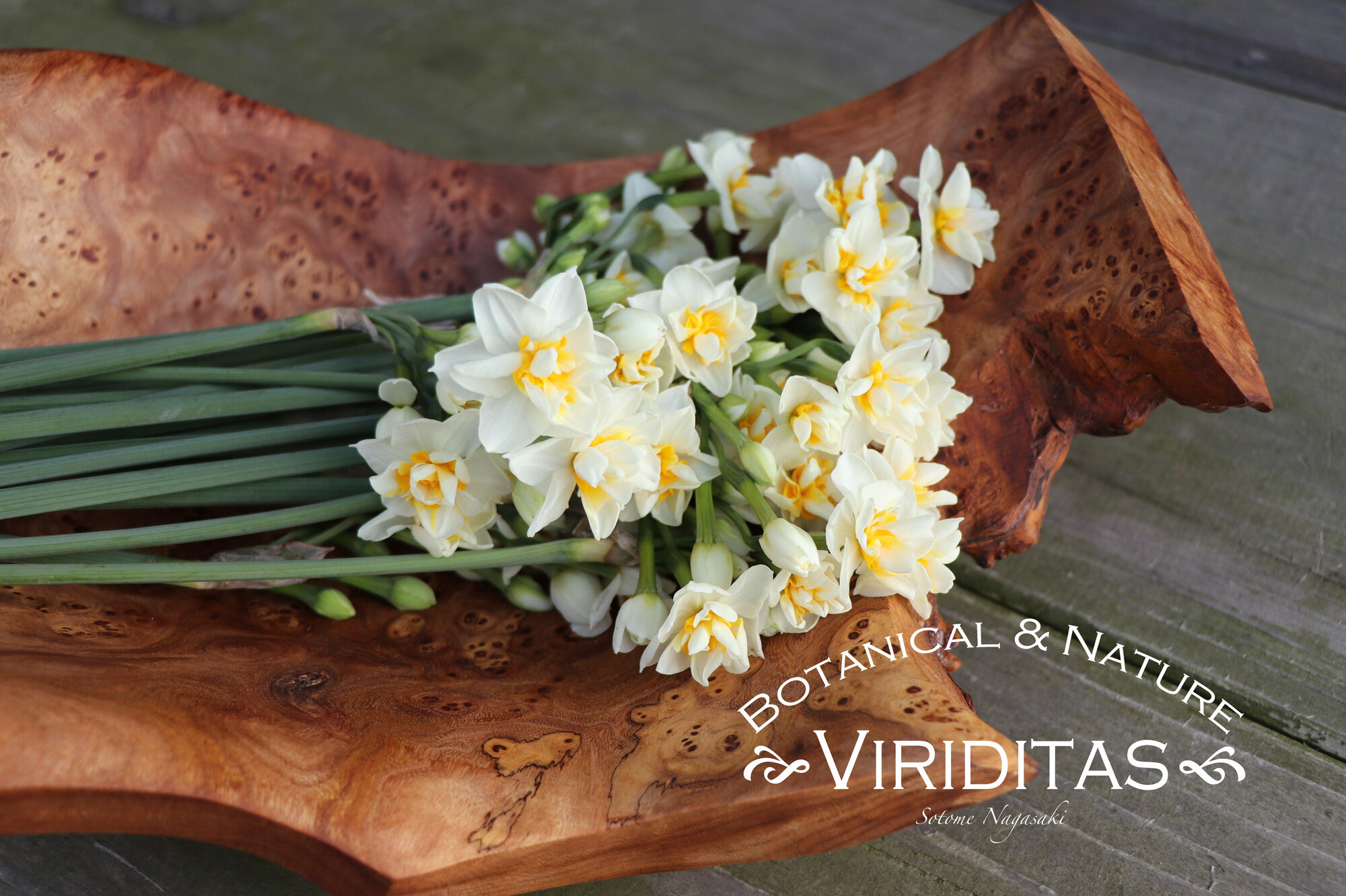 万年筆作家Viriditas