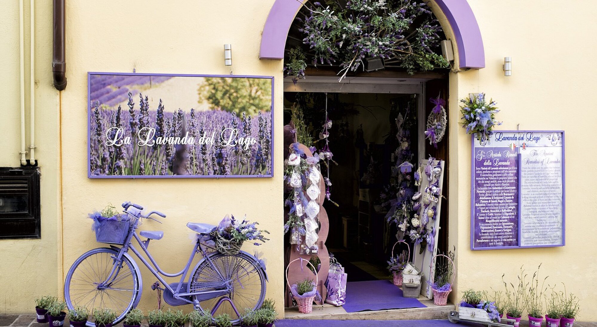 Merci Fleurs