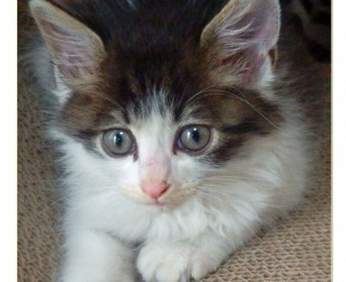 彫金工房 Rivertone