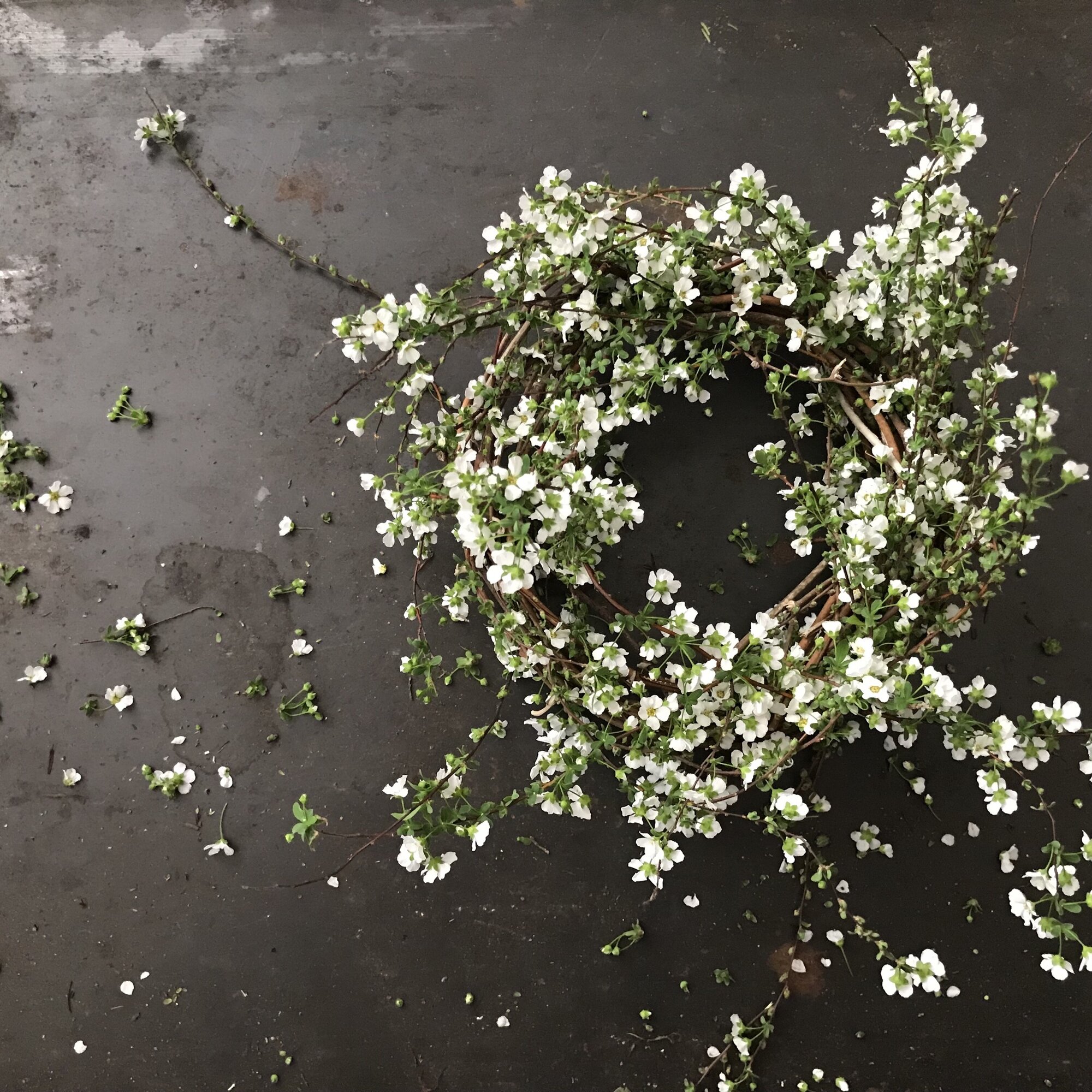 草花紡　-souka tumugi-