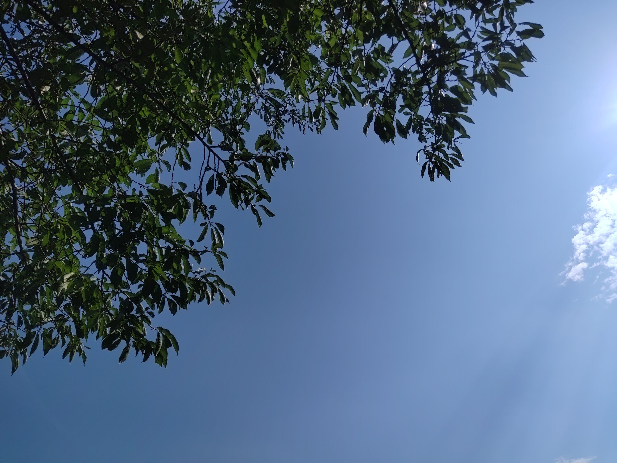 らくだ陶芸ショップ