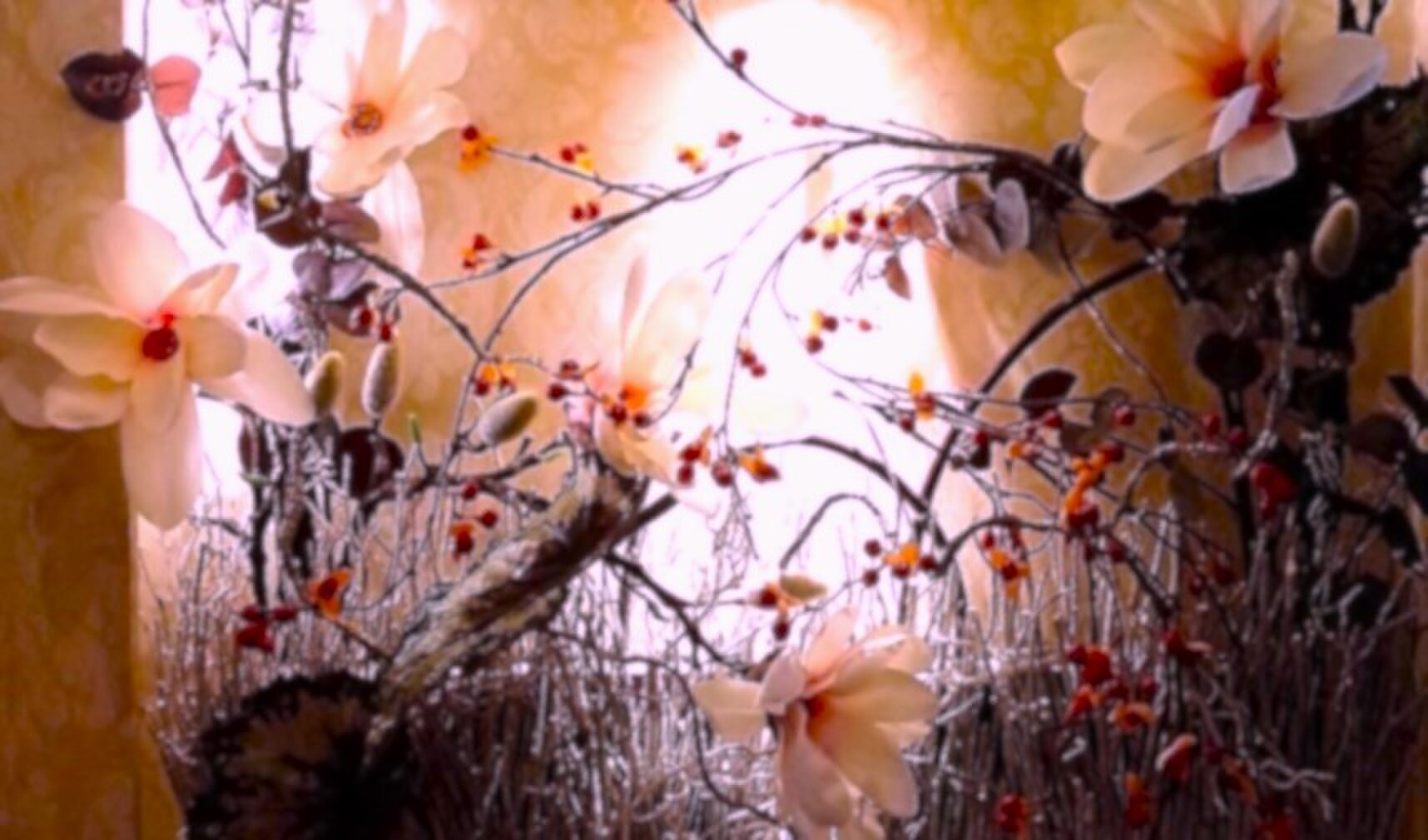 君思い、花は微笑む