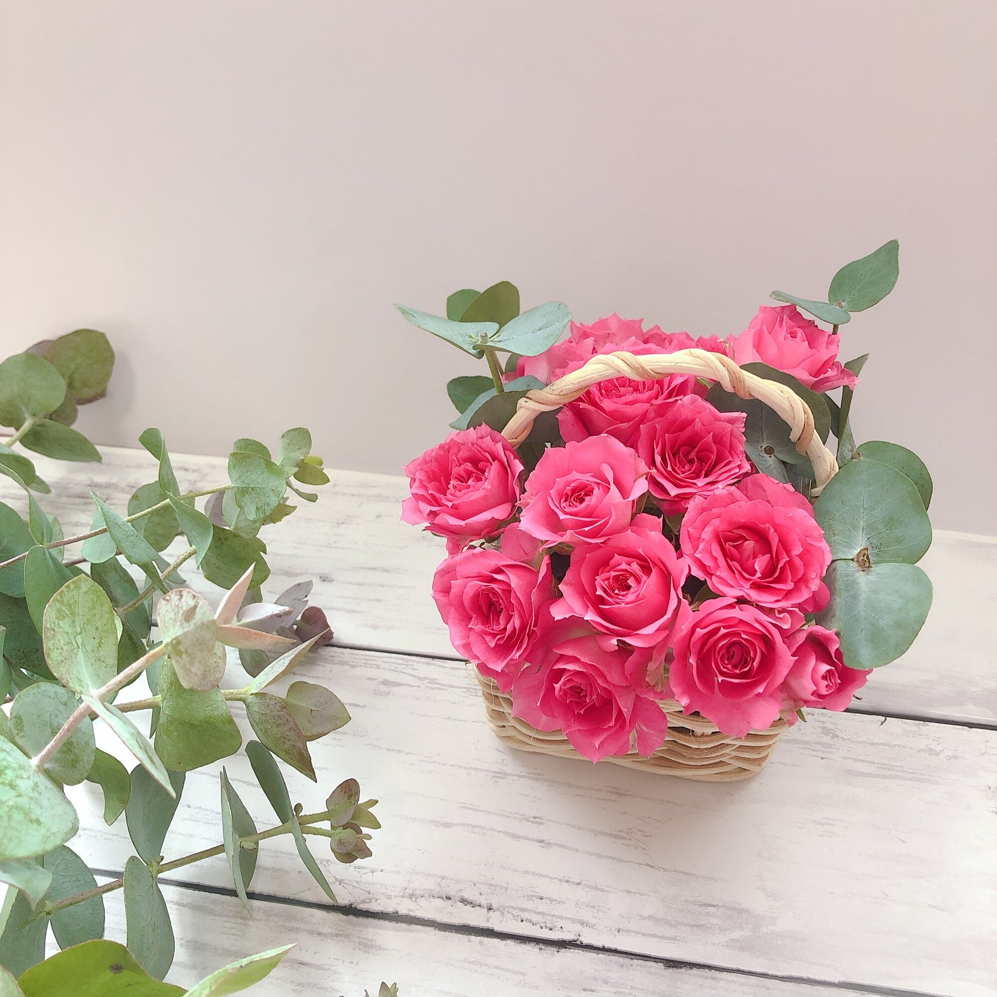 Atelier ♔ Sorahana