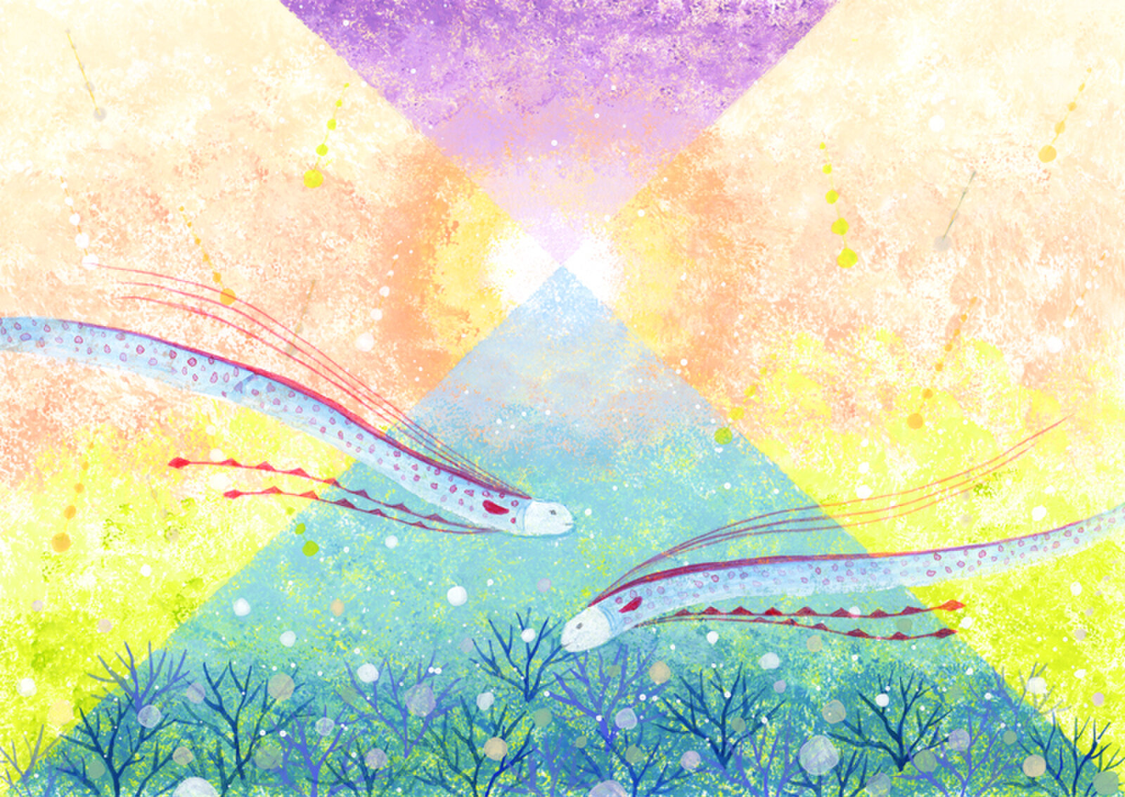 杜宇子