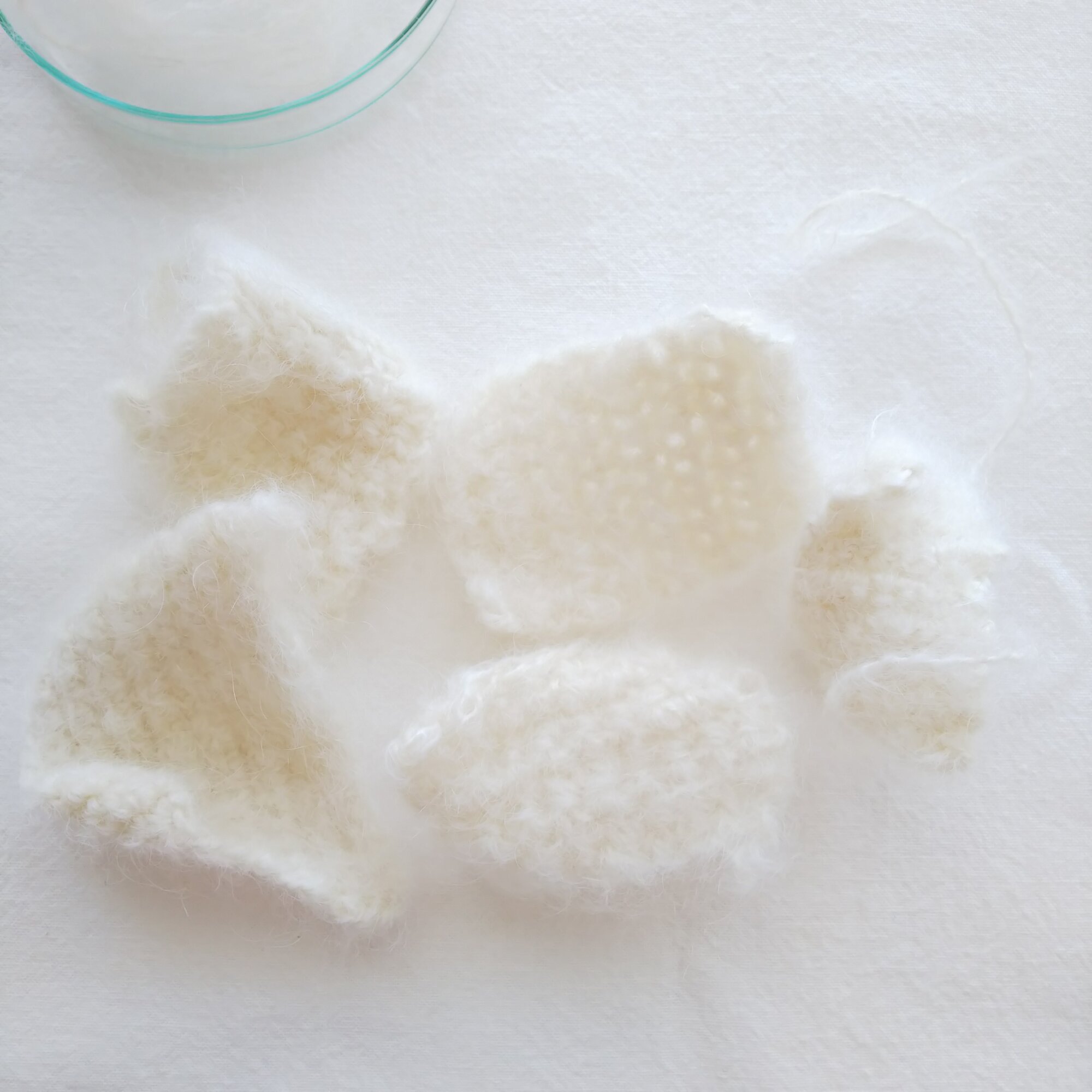 暮らしの情景 カモミレ