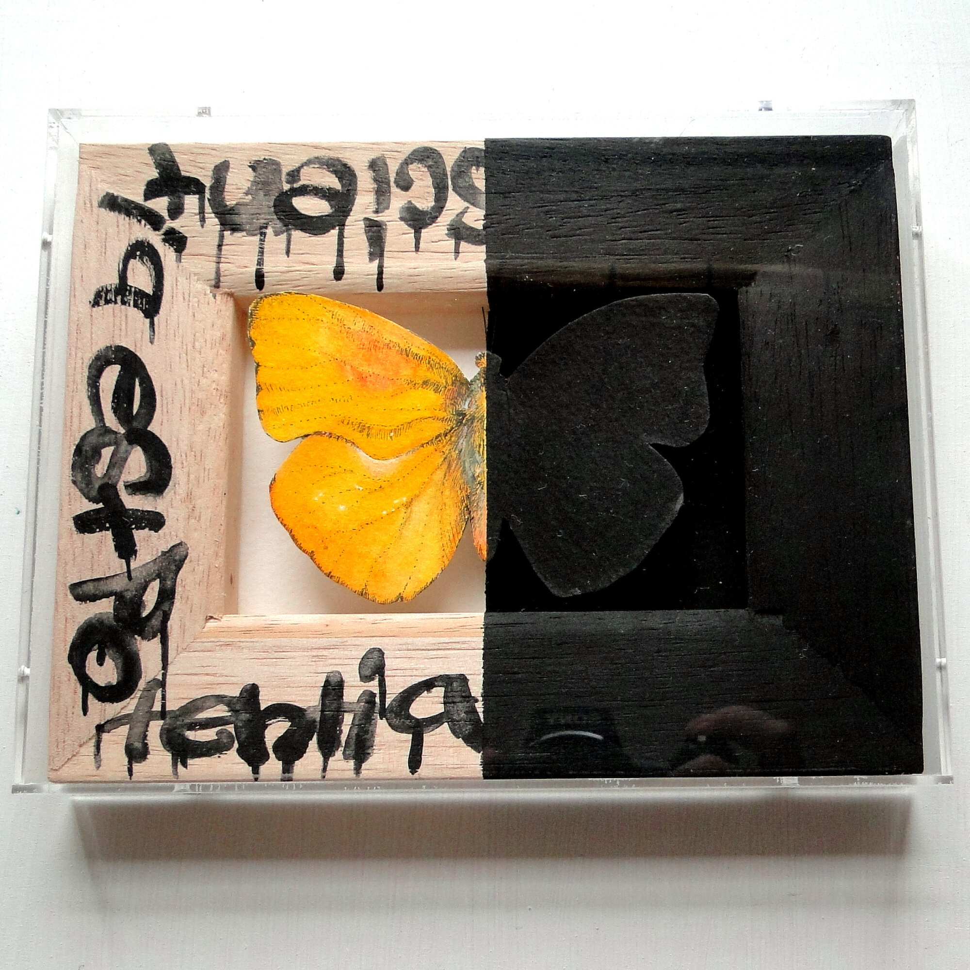 鈴木ショウコのアートショップ　描キクケコ